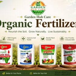 Organic Fertilizer