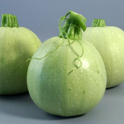 Round Gourd OP Seeds