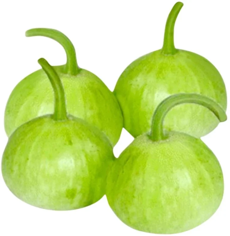 Round Bottle Gourd OP Variety Seeds