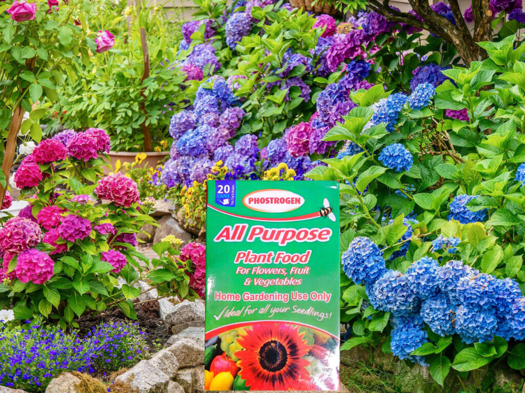 All Purpose Plant Food NPK 5-15-45