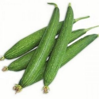 tori Sponge Gourd F1 Hybrid Seeds