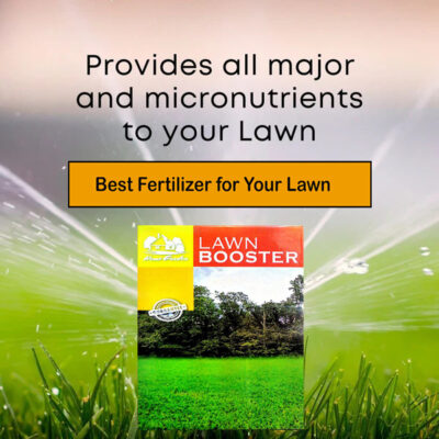 Lawn Booster – Advanced NPK Fertilizer with Micronutrients for Thick, Green & Healthy Grass - Image 2