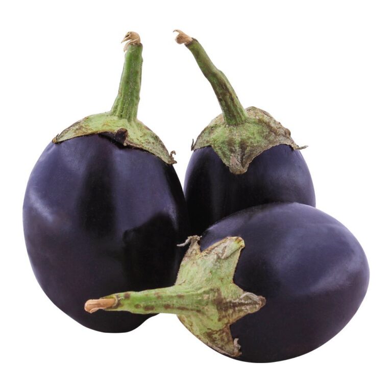 Round Brinjal OP Variety Seeds