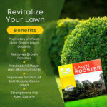 Lawn Booster – Advanced NPK Fertilizer with Micronutrients for Thick, Green & Healthy Grass - Image 3