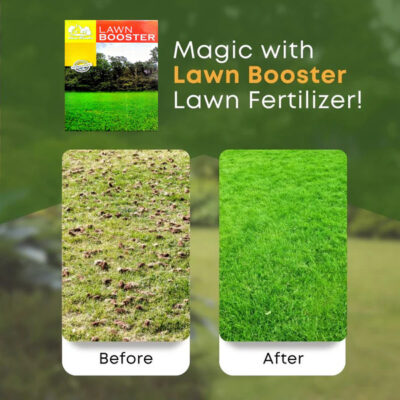 Lawn Booster – Advanced NPK Fertilizer with Micronutrients for Thick, Green & Healthy Grass - Image 4