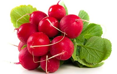 Red Radish OP Variety Seeds