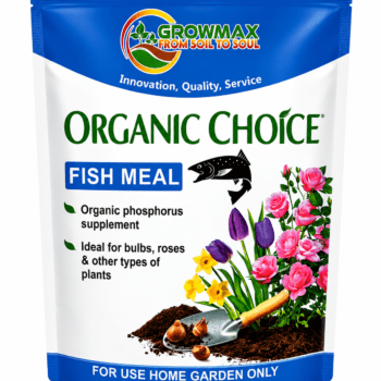Fish Meal