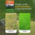 Lawn Booster – Advanced NPK Fertilizer with Micronutrients for Thick, Green & Healthy Grass - Image 4