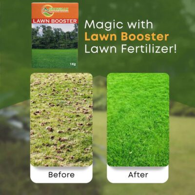 Lawn Booster – Advanced NPK Fertilizer with Micronutrients for Thick, Green & Healthy Grass - Image 4