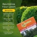 Lawn Booster – Advanced NPK Fertilizer with Micronutrients for Thick, Green & Healthy Grass - Image 3