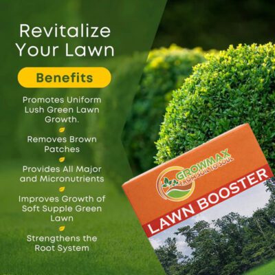 Lawn Booster – Advanced NPK Fertilizer with Micronutrients for Thick, Green & Healthy Grass - Image 3