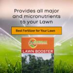 Lawn Booster – Advanced NPK Fertilizer with Micronutrients for Thick, Green & Healthy Grass - Image 2