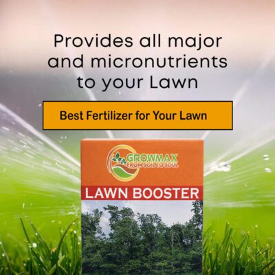 Lawn Booster – Advanced NPK Fertilizer with Micronutrients for Thick, Green & Healthy Grass - Image 2