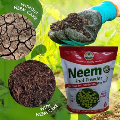 Neem Cake / Neem Khal Powder – Organic Fertilizer & Natural Pest Repellent for Home Gardening - Image 2