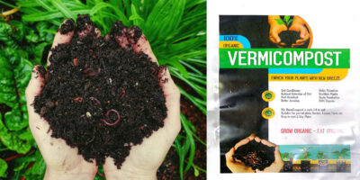 Vermicompost – 100% Natural Organic Fertilizer for Healthy Plant Growth (Available in 1KG & 5KG Packs) - Image 3