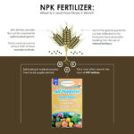 All Purpose Plant Food NPK 20,20,20 Fertilizer | Highly concentrated, Balanced plant Fertilizers - Image 2