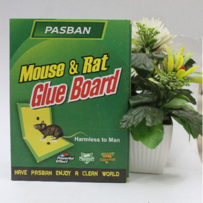 Pasban Mouse Rat Glue Catch Trap