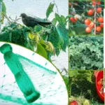 Anti Bird Net – Durable Nylon Netting for Safe & Humane Bird Protection - Image 2