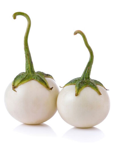 Eggplant-White-Baingan Eggplant White Round F1 Hybrid