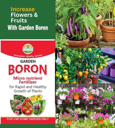 Garden Boron Fertilizer