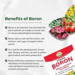 Garden Boron Micro Nutrient Fertilizer - Image 2