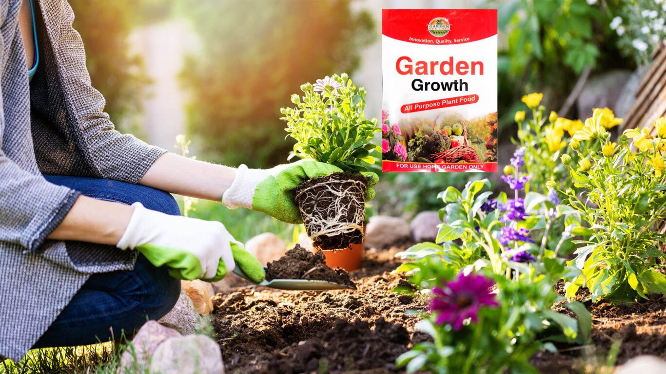 All Purpose Plant Food