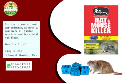 Rat Mouse Killer Chocolate Bait