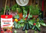 Garden Growth |All Purpose Plant Food | NPK 11.06.44+TE - Image 2