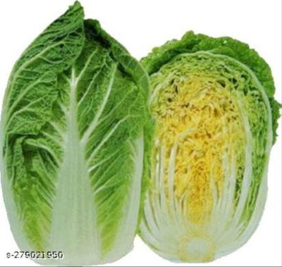 Chinese Cabbage F1 Hybrid Seeds