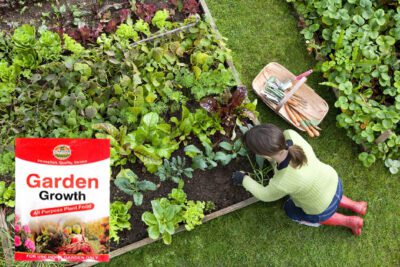 Garden Growth |All Purpose Plant Food | NPK 11.06.44+TE - Image 3