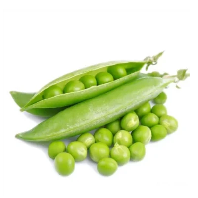 green_peas_fresh_matar_500_gm-605 Pea Seeds OP variety