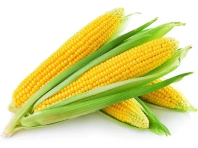 maize-seeds-500x500 webp Sweet Corn F1 Hybrid Seeds