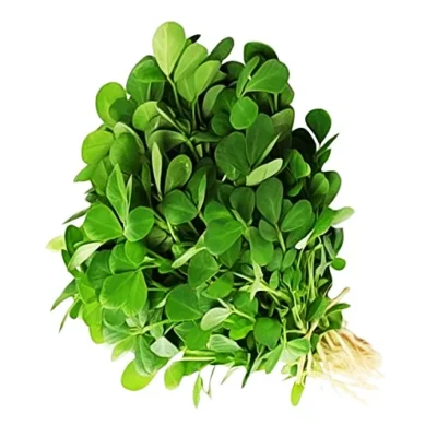methi Fenugreek OP Variety Seeds
