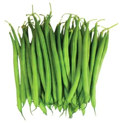 French Beans F1 Hybrid Seeds