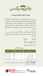 BioMax 48% TC | Best Product for Termite and Other househlod insects - Image 4