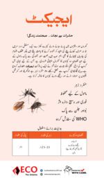 Eject 20% SC | Best Product for House Flies Mosquitos ( Dengue Malaria) - Image 4