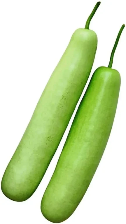 Loki F1 Hybrid Seeds