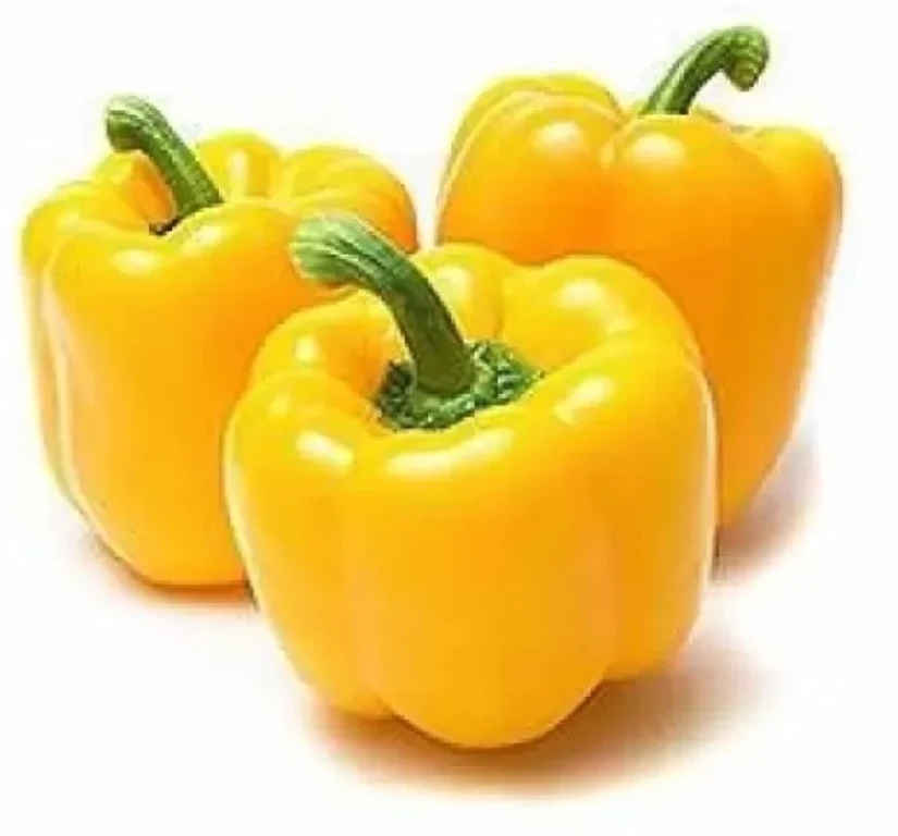 Yellow Pepper Bell F1 Hybrid Seeds