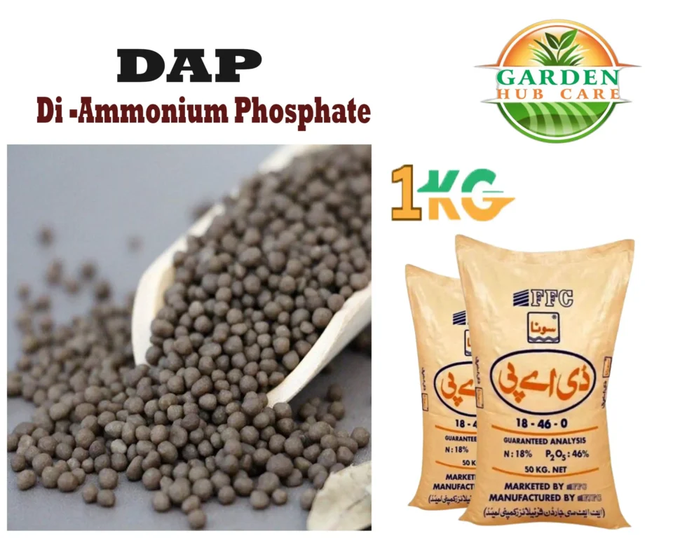 DAP Fertilizer – Boosts Root, Leaf & Flower Growth for Home Gardens & Lawns