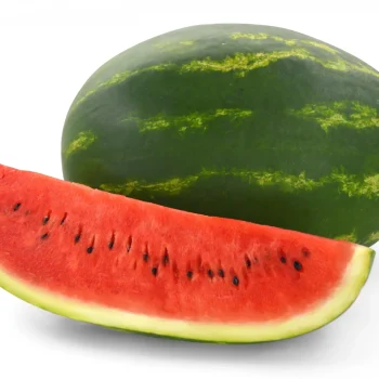 Watermelon F1 Hybrid Seeds