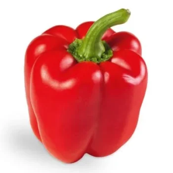 Red Capsicum F1 Hybrid Seeds