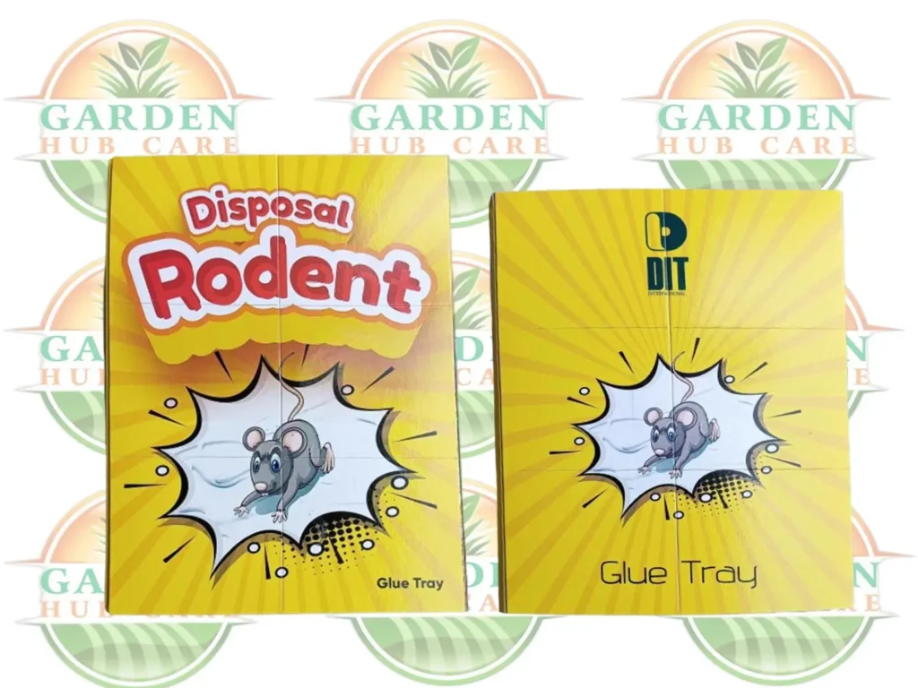 Disposal Rodent Glue Tray / Rat Book