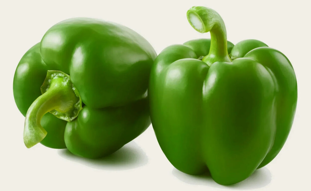 Green capsicum OP variety seeds