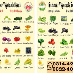Summer Vegetable Seed
