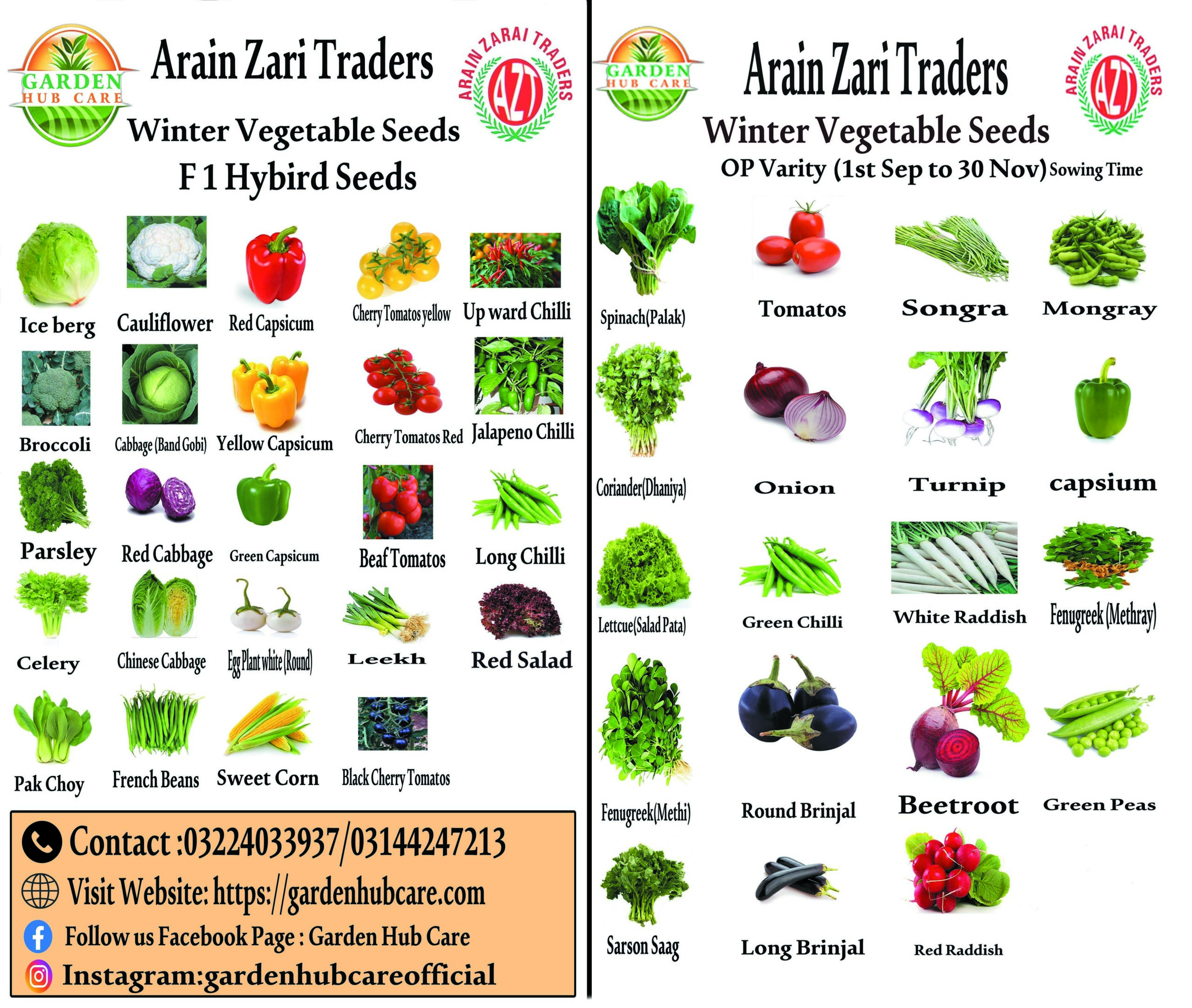 Winter Vegetable Seed