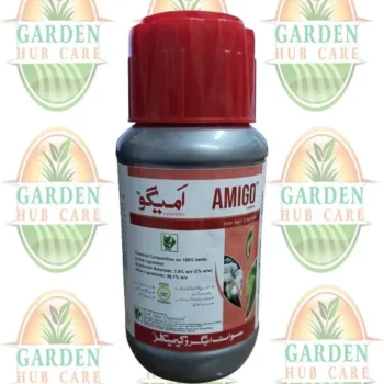 Amigo 1.9 EC