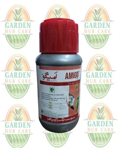 Amingo 1 Amigo 1.9 EC