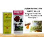 Diseen 60ml