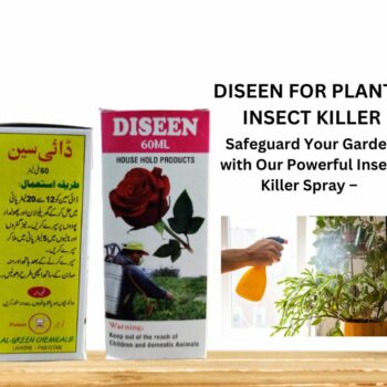 Diseen 60ml