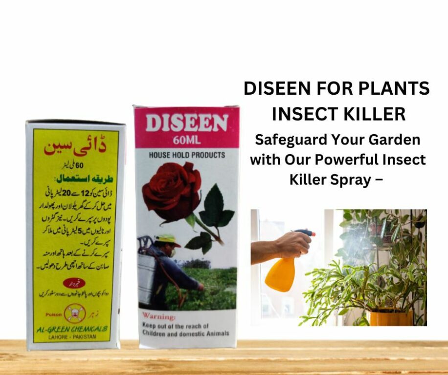 Diseen 60ml